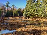 Canadian Shield Scene_DSCF02960